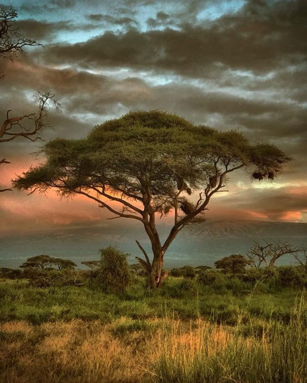 2019-PhotoContest7 2019-PhotoContest7
